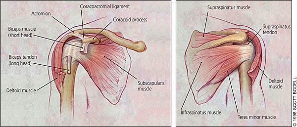 How To Avoid Surgery Shoulder Impingement Warnings You Can T Ignore